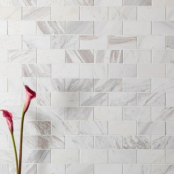 タイル ラフィニタ