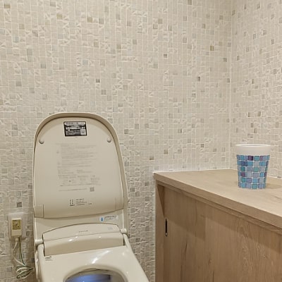 柔らかな雰囲気で迎えるトイレ